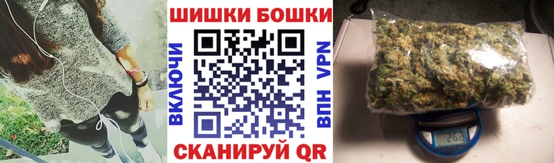 Альфа ПВП Сосновый Бор