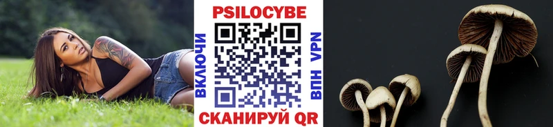 где можно купить   Сосновый Бор  Галлюциногенные грибы прущие грибы 